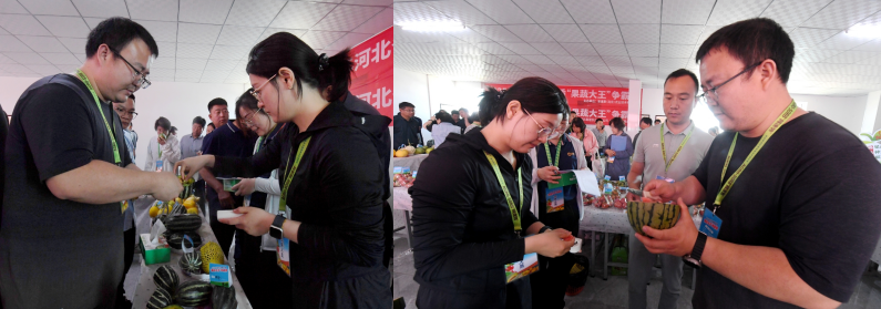 河北萌幫果蔬大王爭霸賽順利舉辦5.png