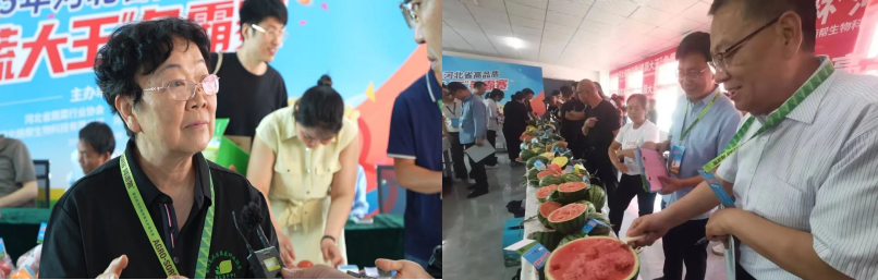 河北萌幫果蔬大王爭霸賽順利舉辦8.png